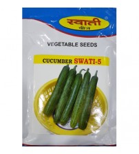 Cucumber Swati-5